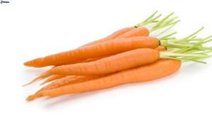 carote border collie